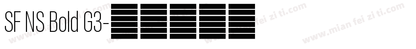 SF NS Bold G3字体转换